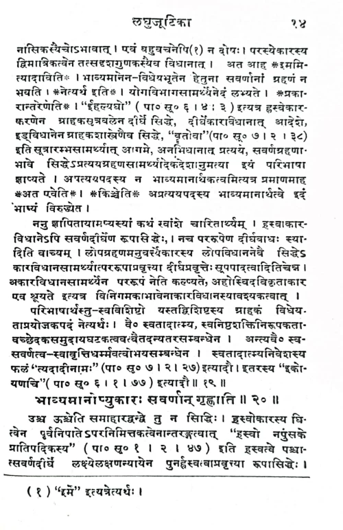 Laghujutika (KSG 19)